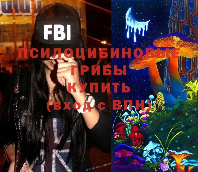 Галлюциногенные грибы Psilocybine cubensis  Киселёвск 